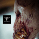 Metamorph FX